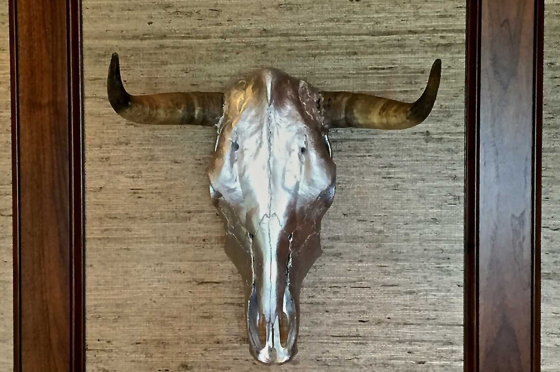 Cow Skull Home Decor Accessoriies